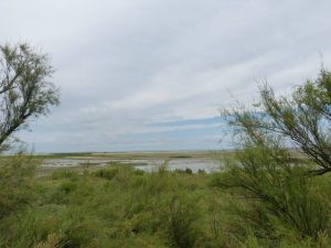 Reserve-Moeze-Oleron-LPO-Paysage-Fort-Royer